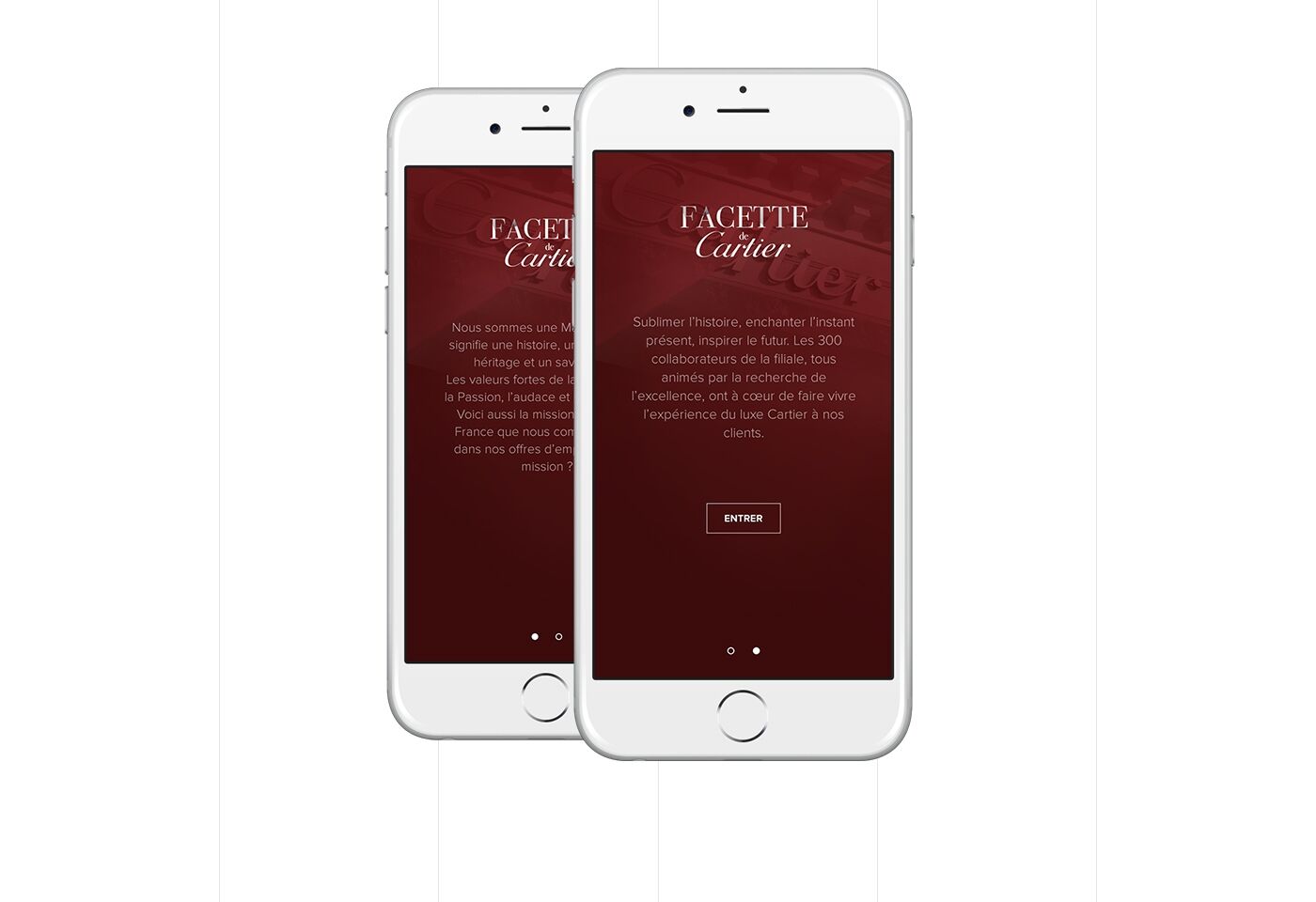 project-img