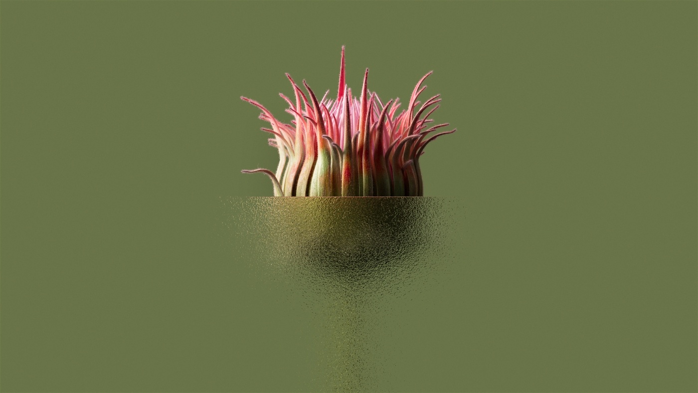 project-img