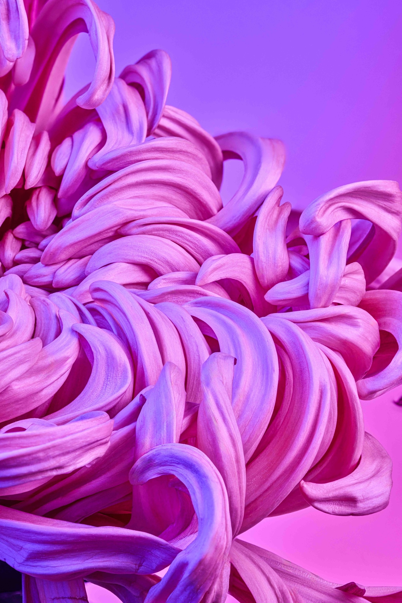 project-img