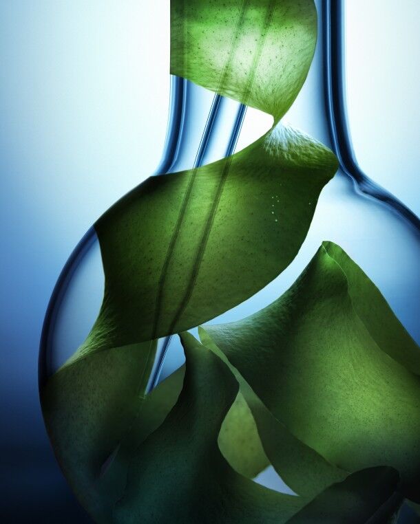 Biotherm