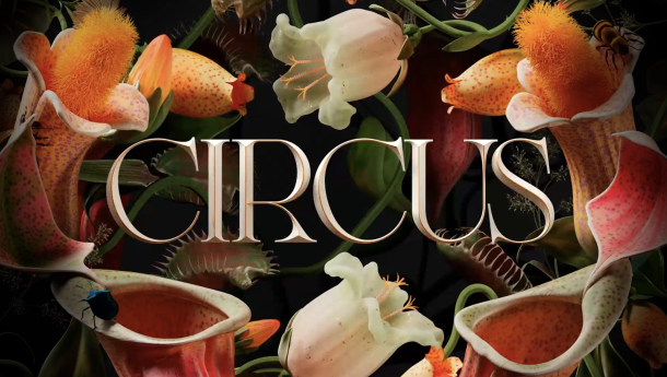 CIRCUS Brand Film