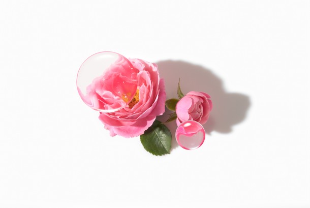 HERBIER / SANOFLORE