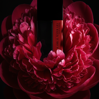 project-img