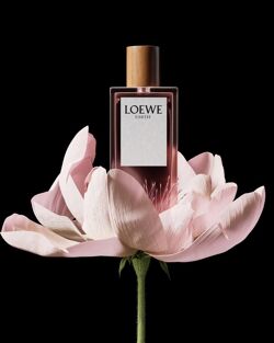 LOEWE PERFUMES