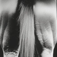 unknown