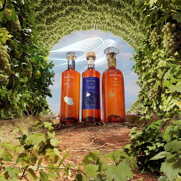 MARTELL - COLLECTION SINGLE CRU - CAMPAGNE FILM + KEY VISUALS