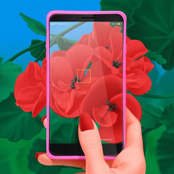 Modern Nature Lover