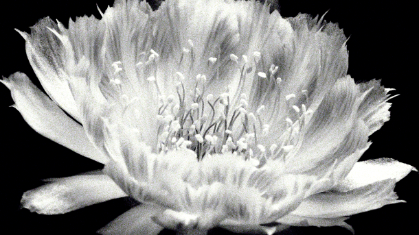 Various Works 2024, 2025