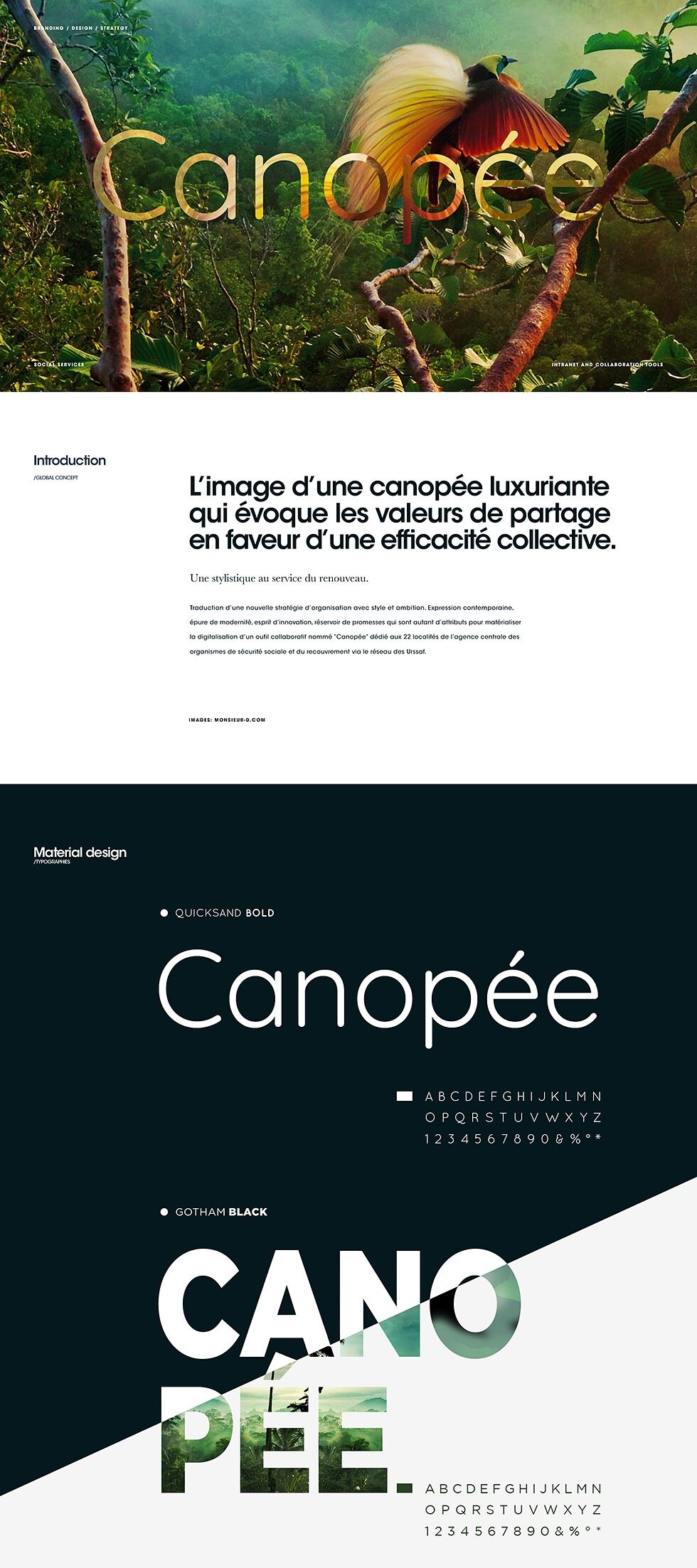 project-img