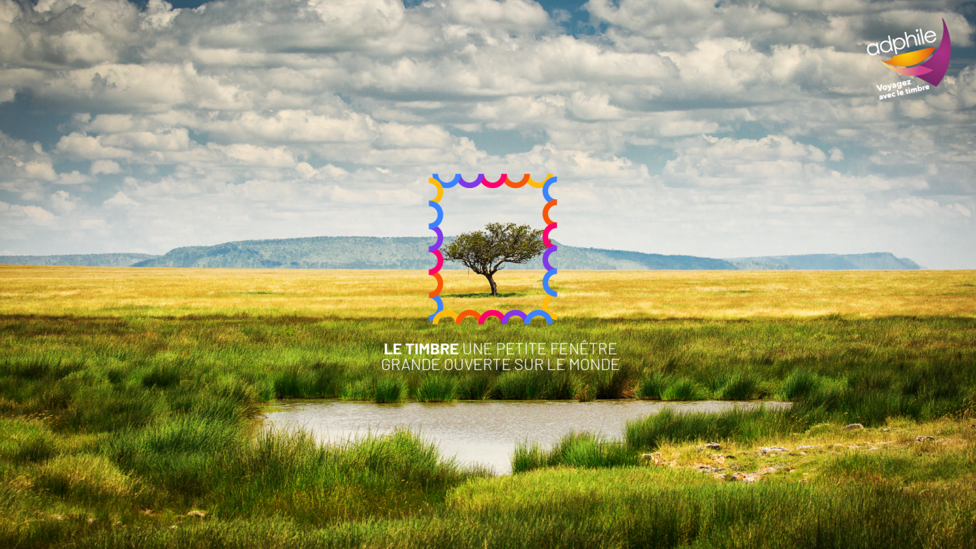 project-img