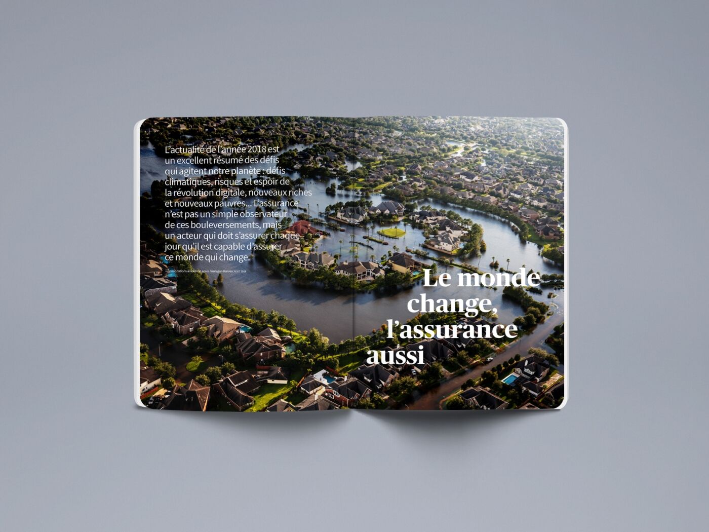 project-img