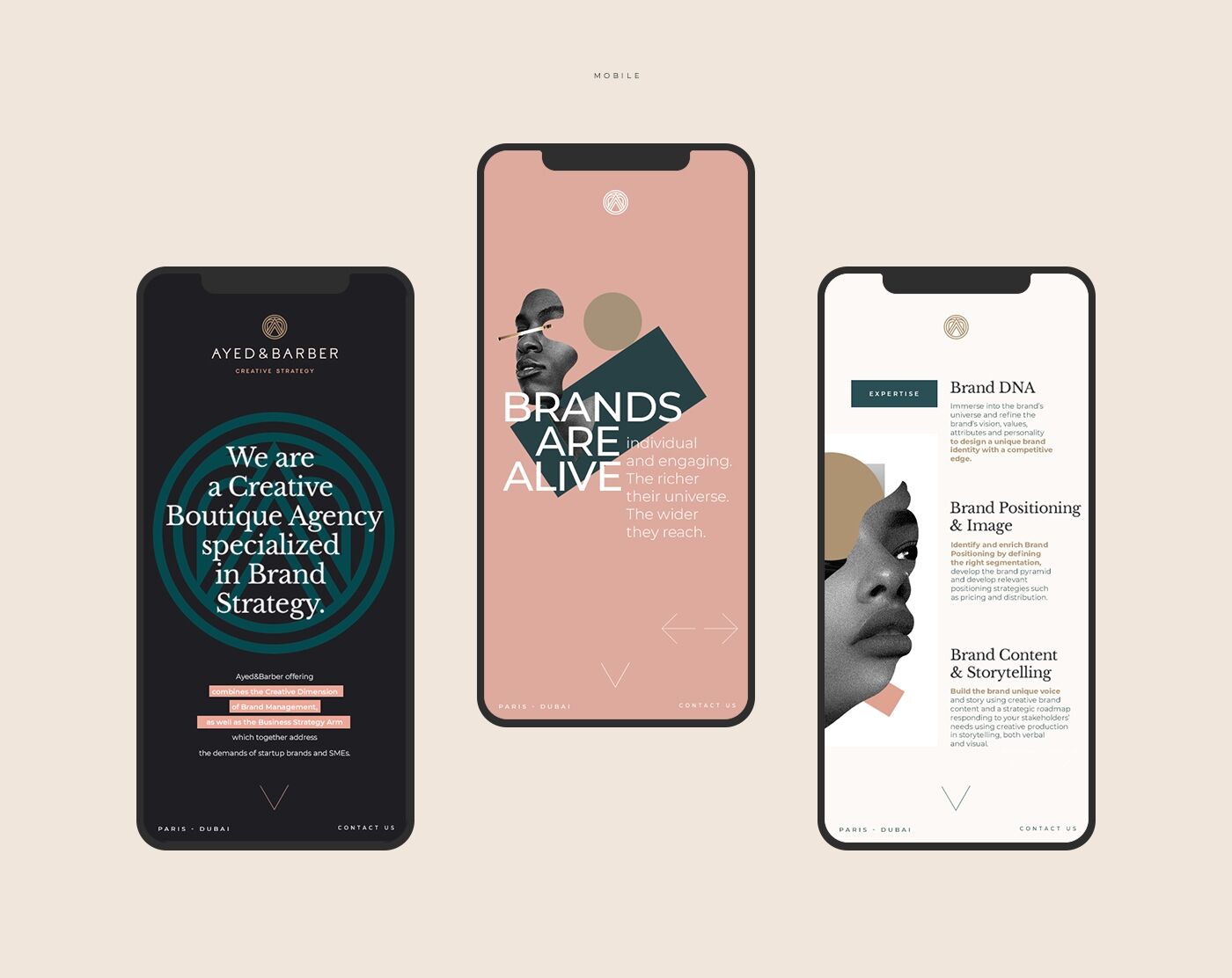project-img