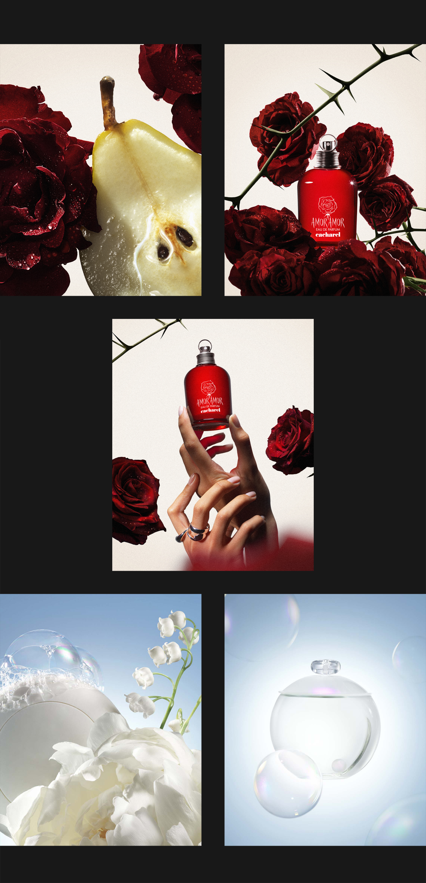 project-img
