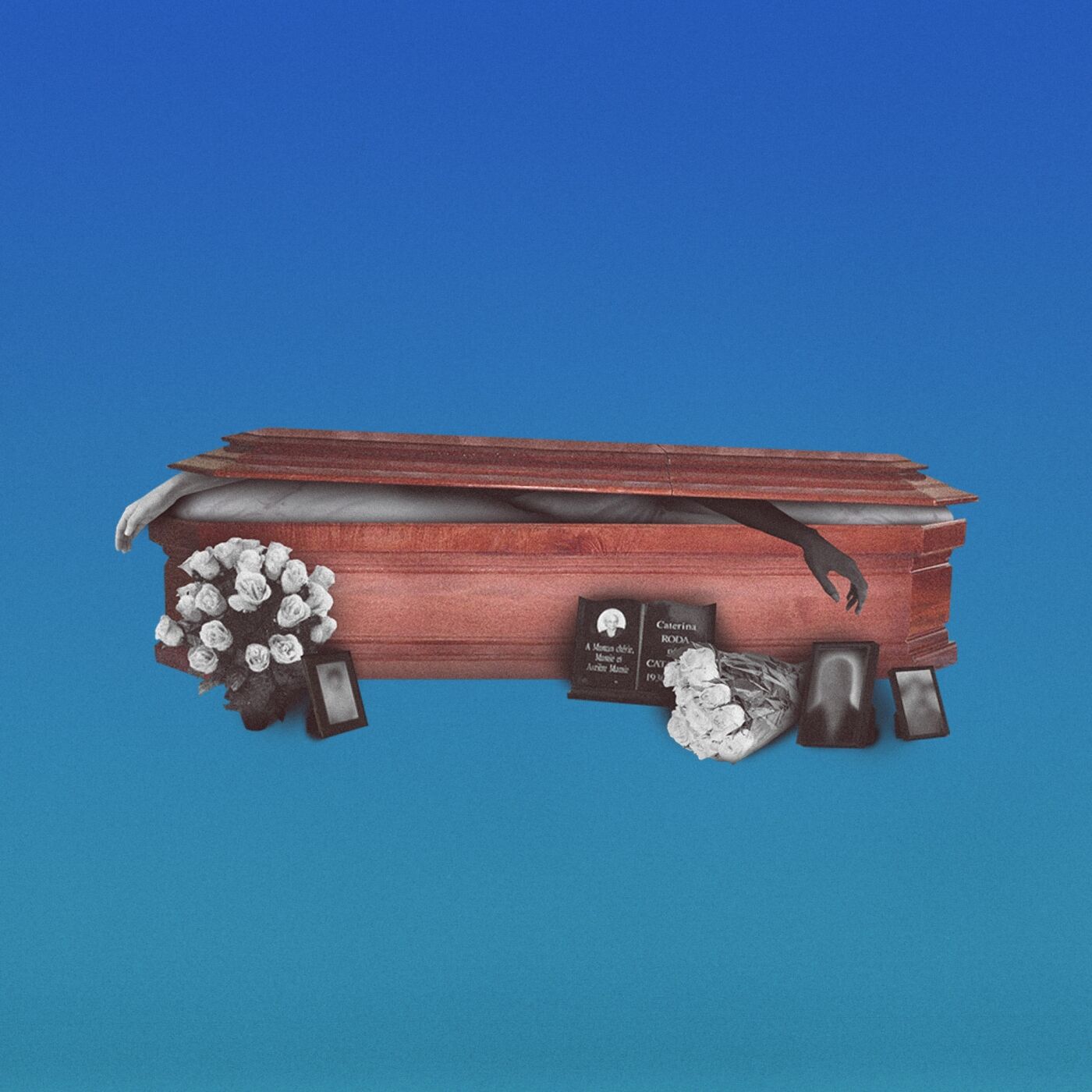 project-img