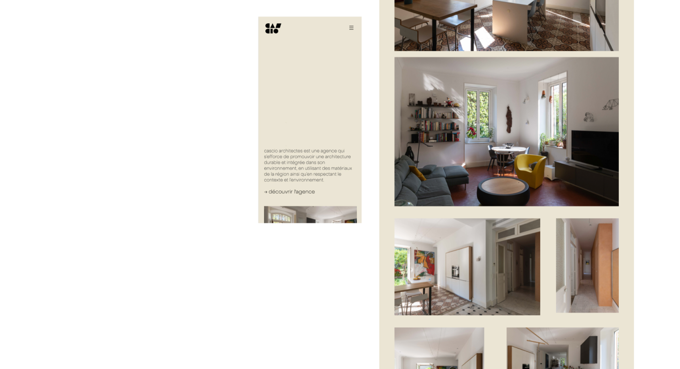 project-img