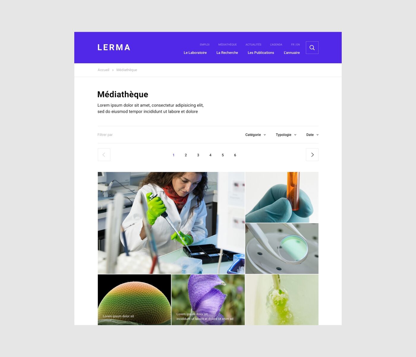 project-img