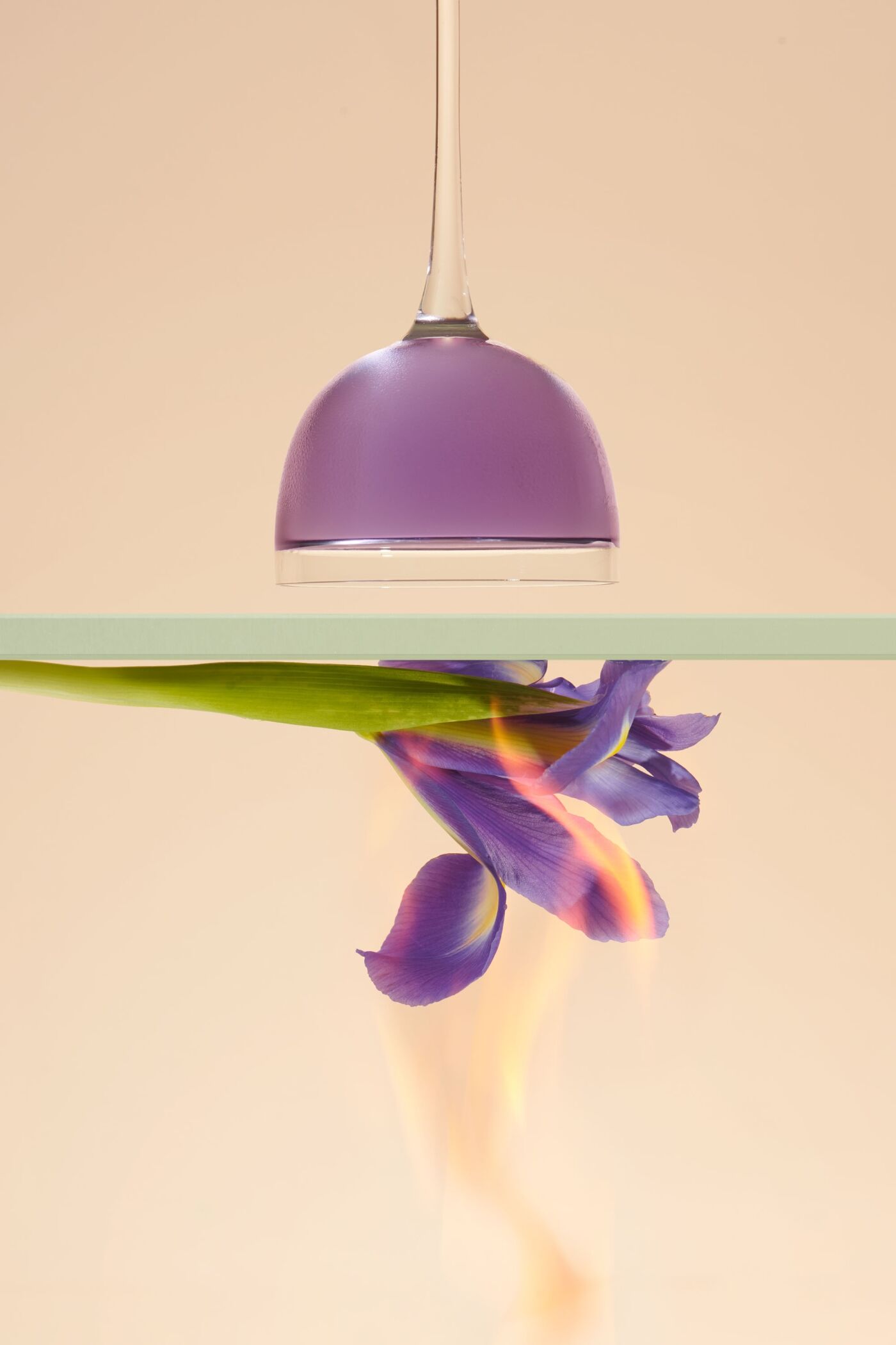 project-img