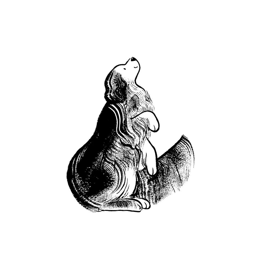 project-img