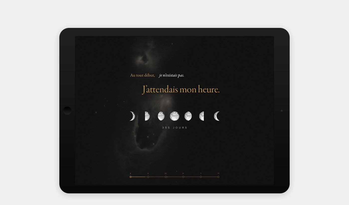 project-img