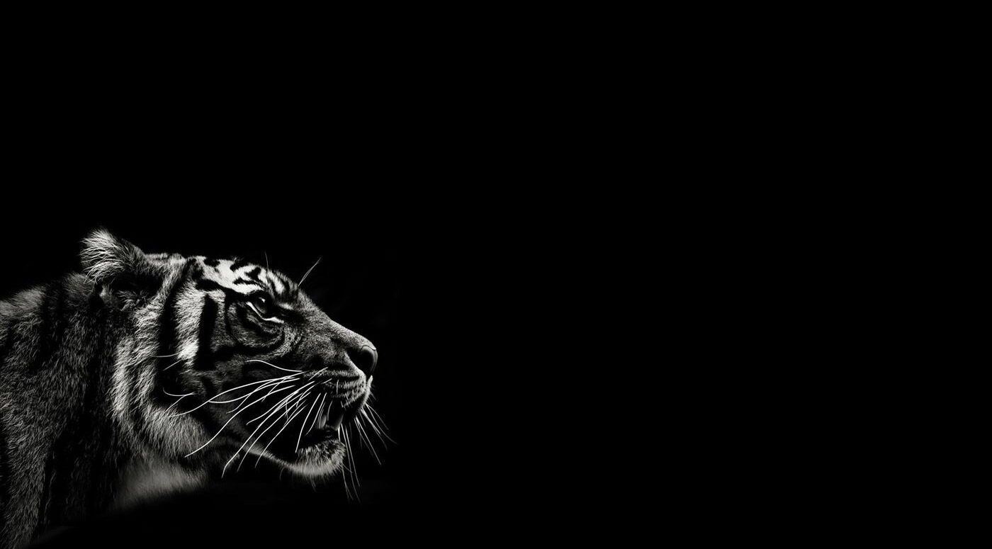 project-img