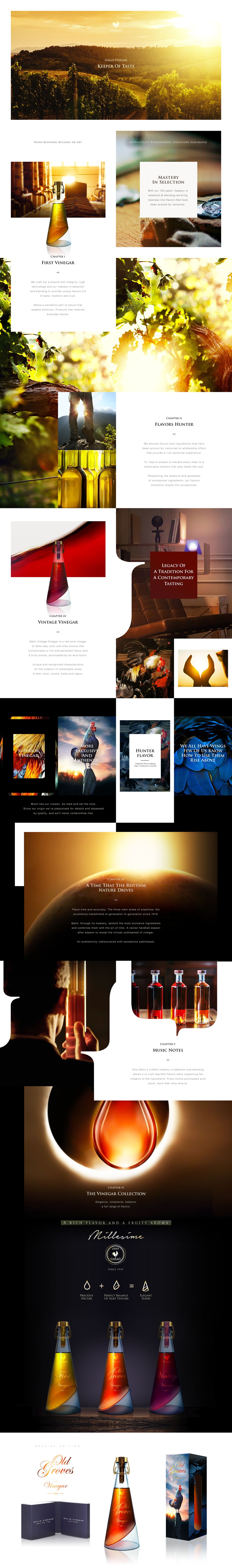 project-img