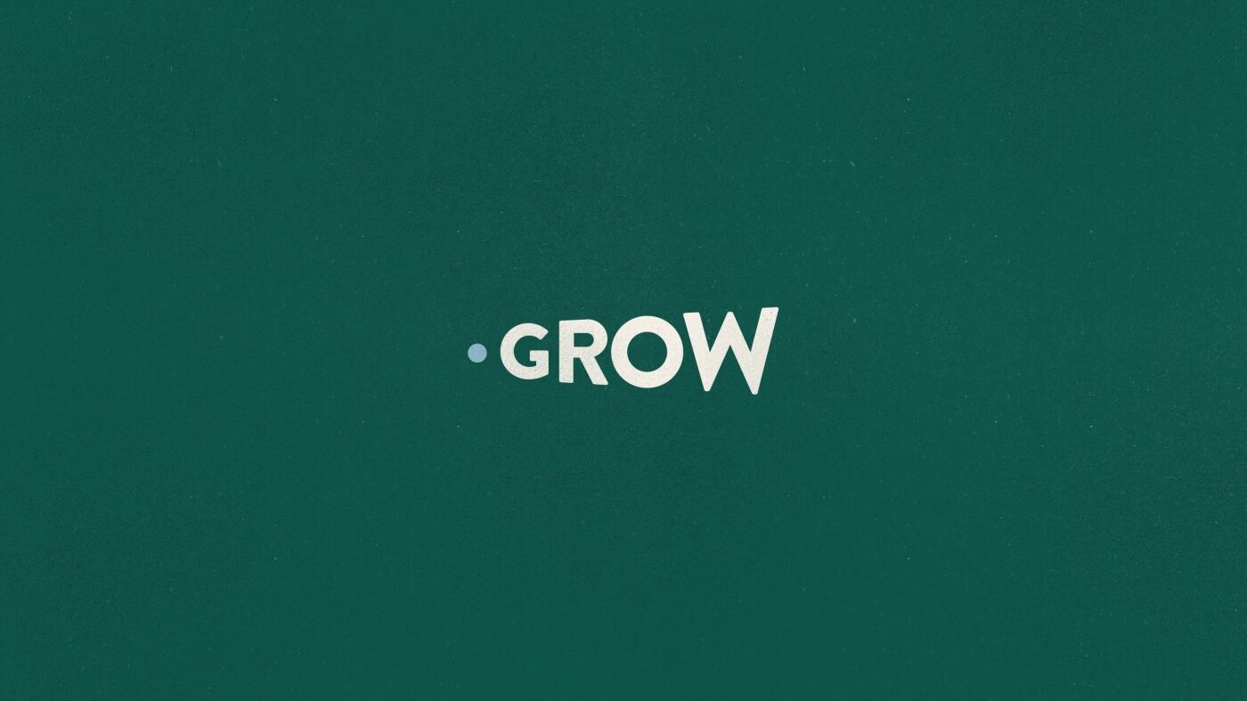 project-img