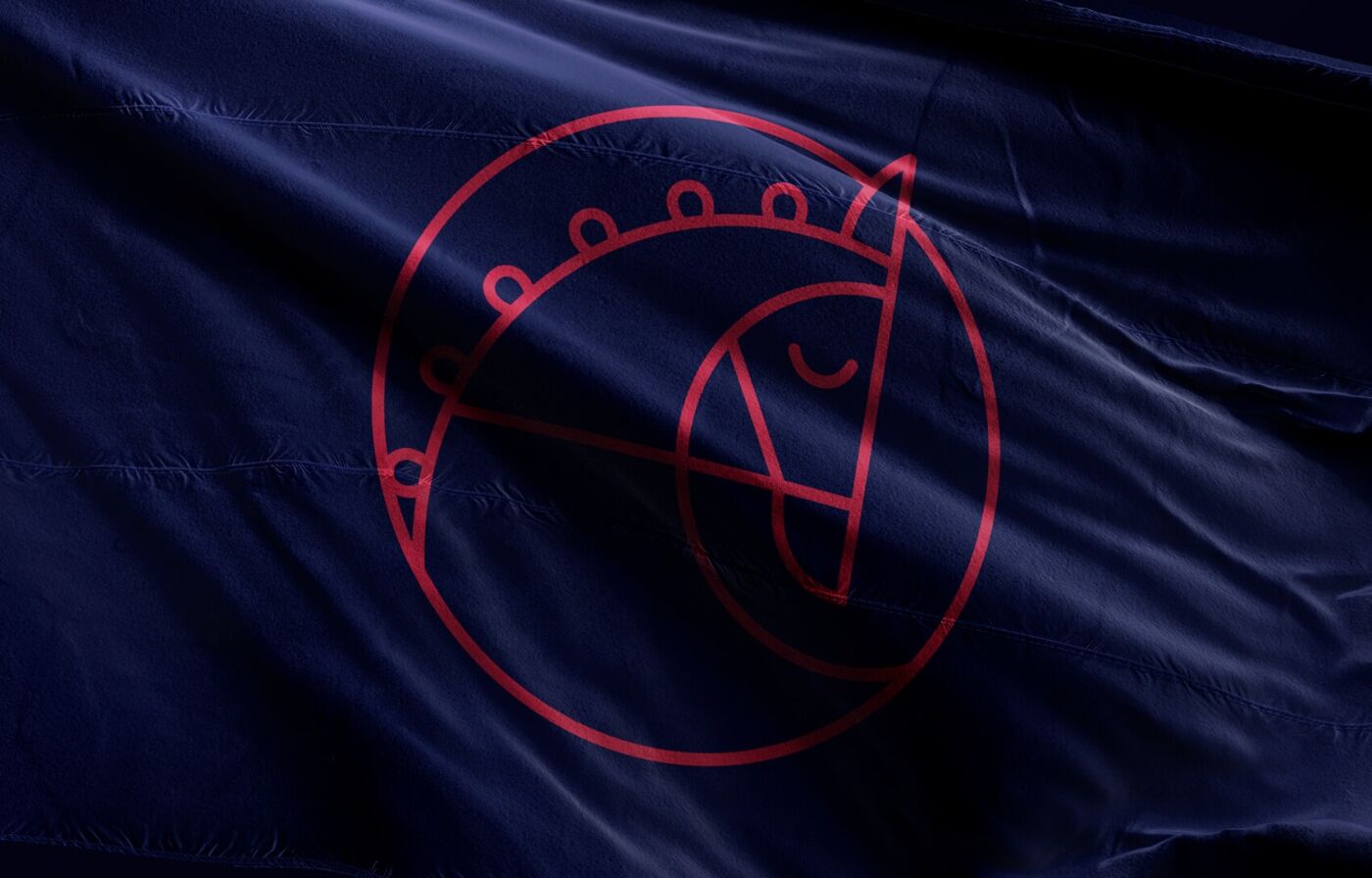 project-img