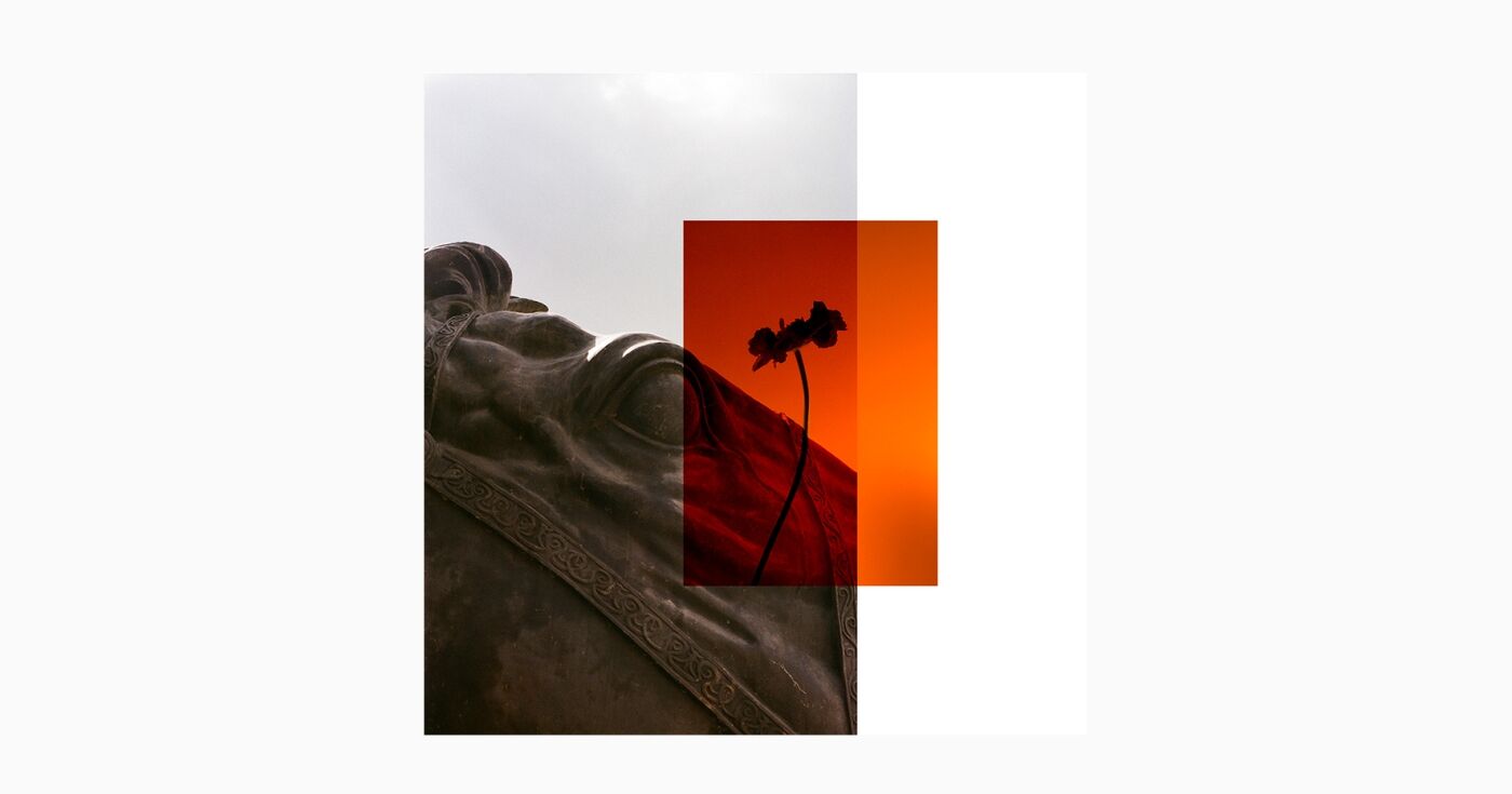 project-img