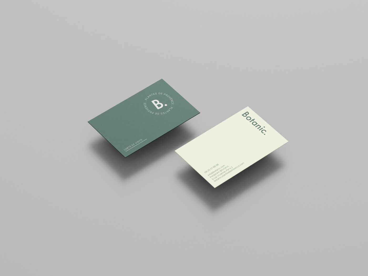 project-img