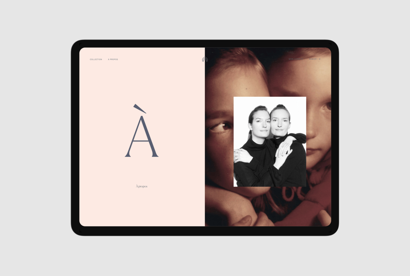 project-img