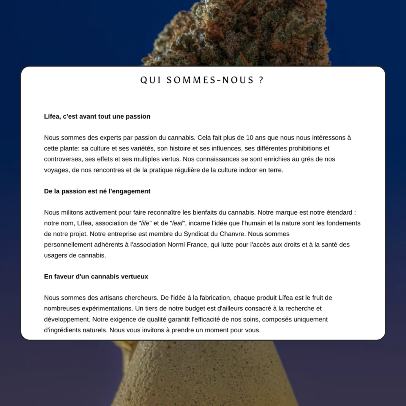 project-img