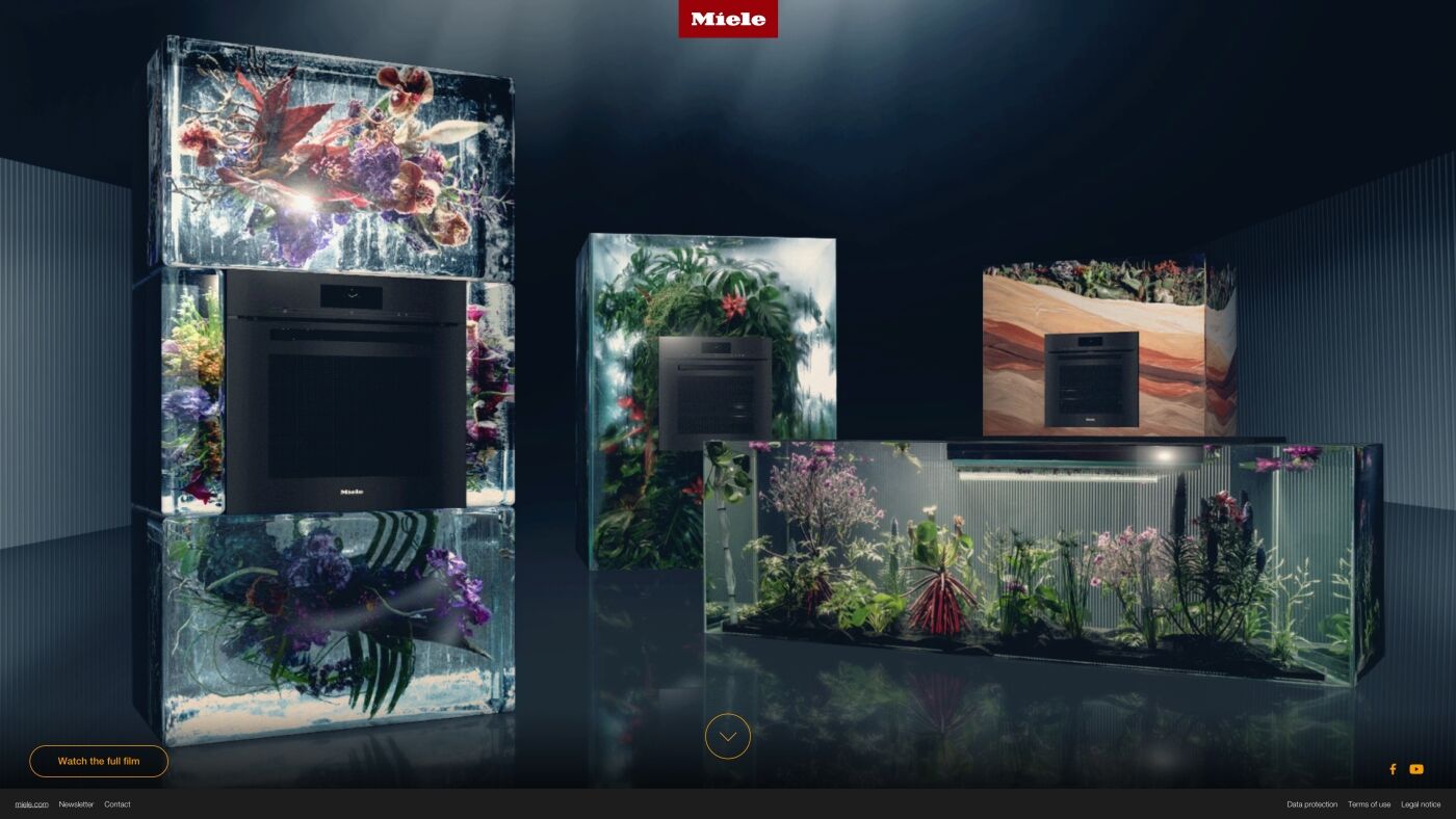 project-img