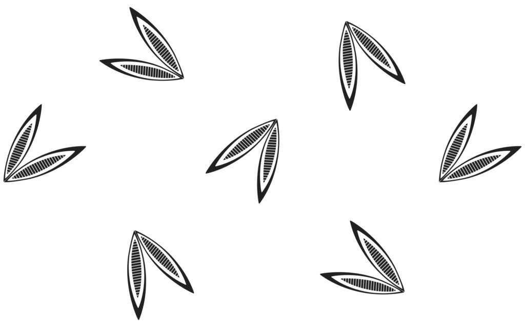 project-img