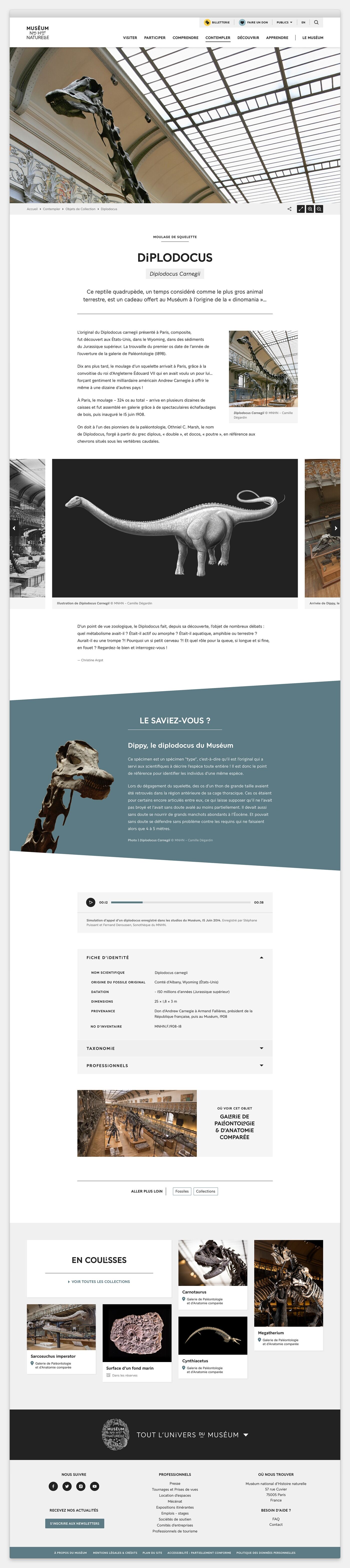 project-img