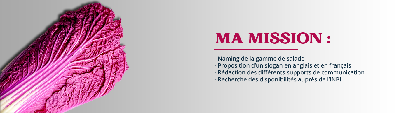 project-img