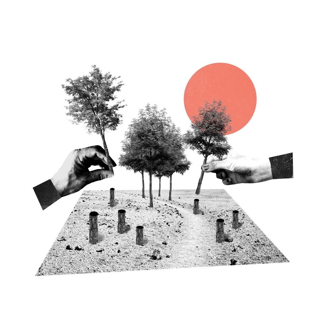 project-img
