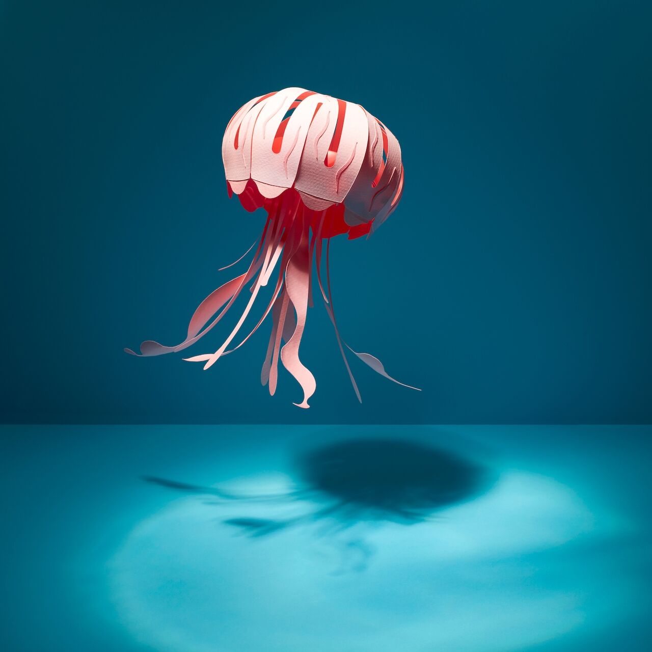 project-img