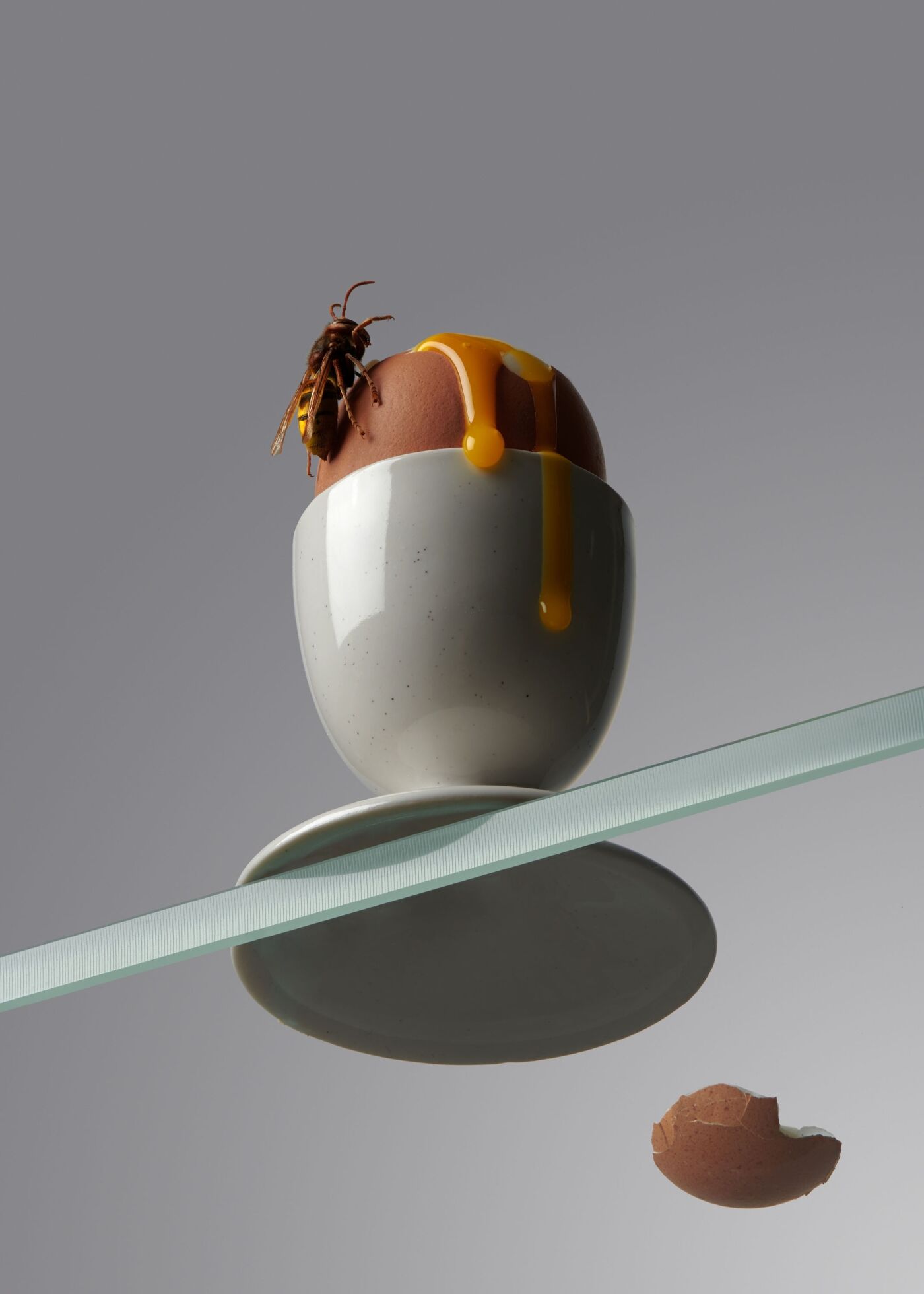 project-img