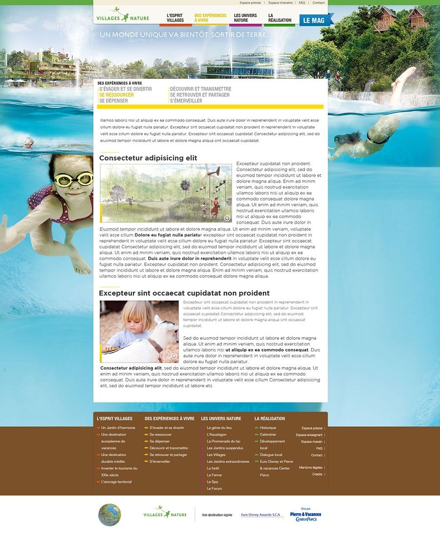 project-img