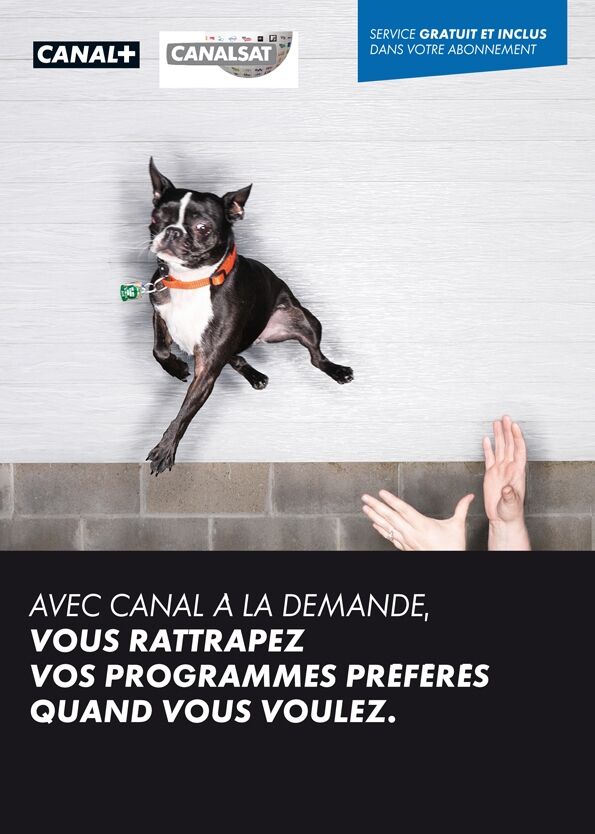 project-img
