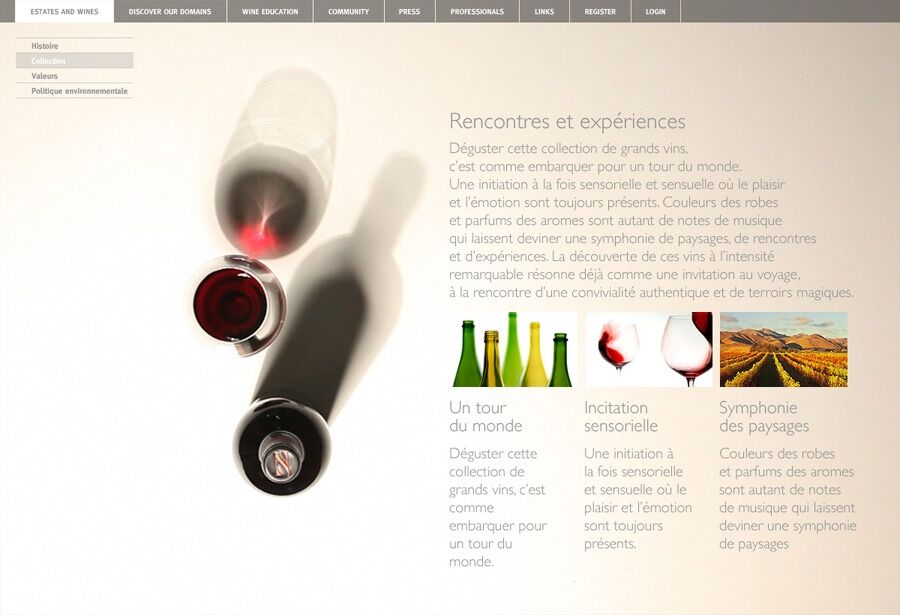 project-img