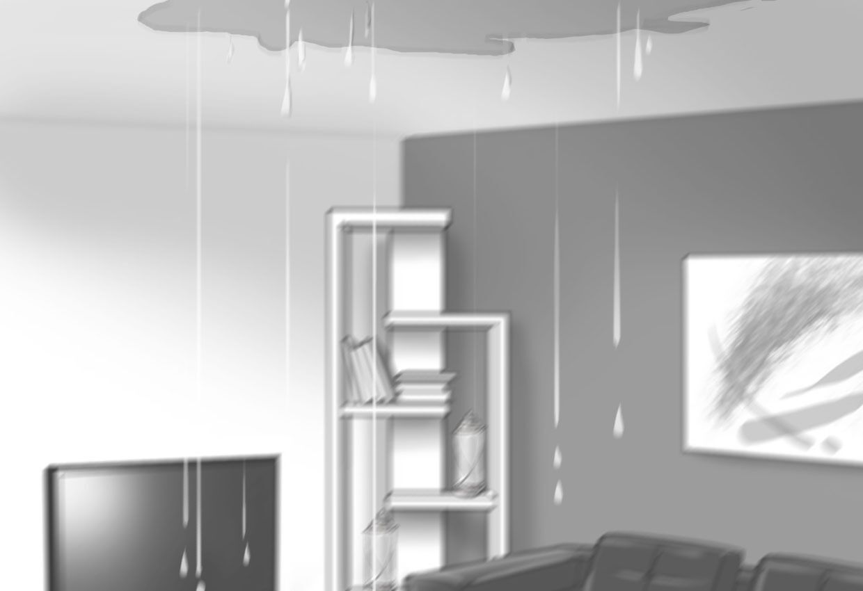 project-img