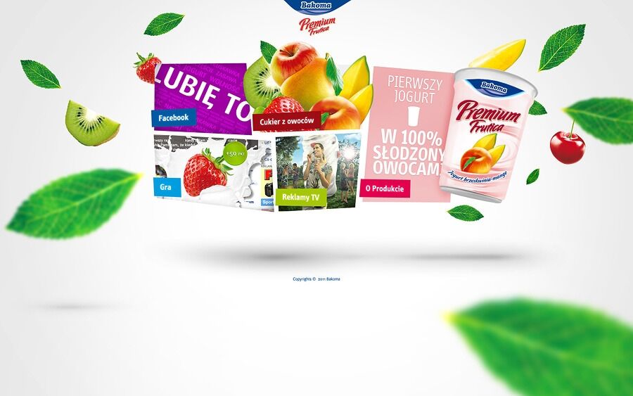 project-img