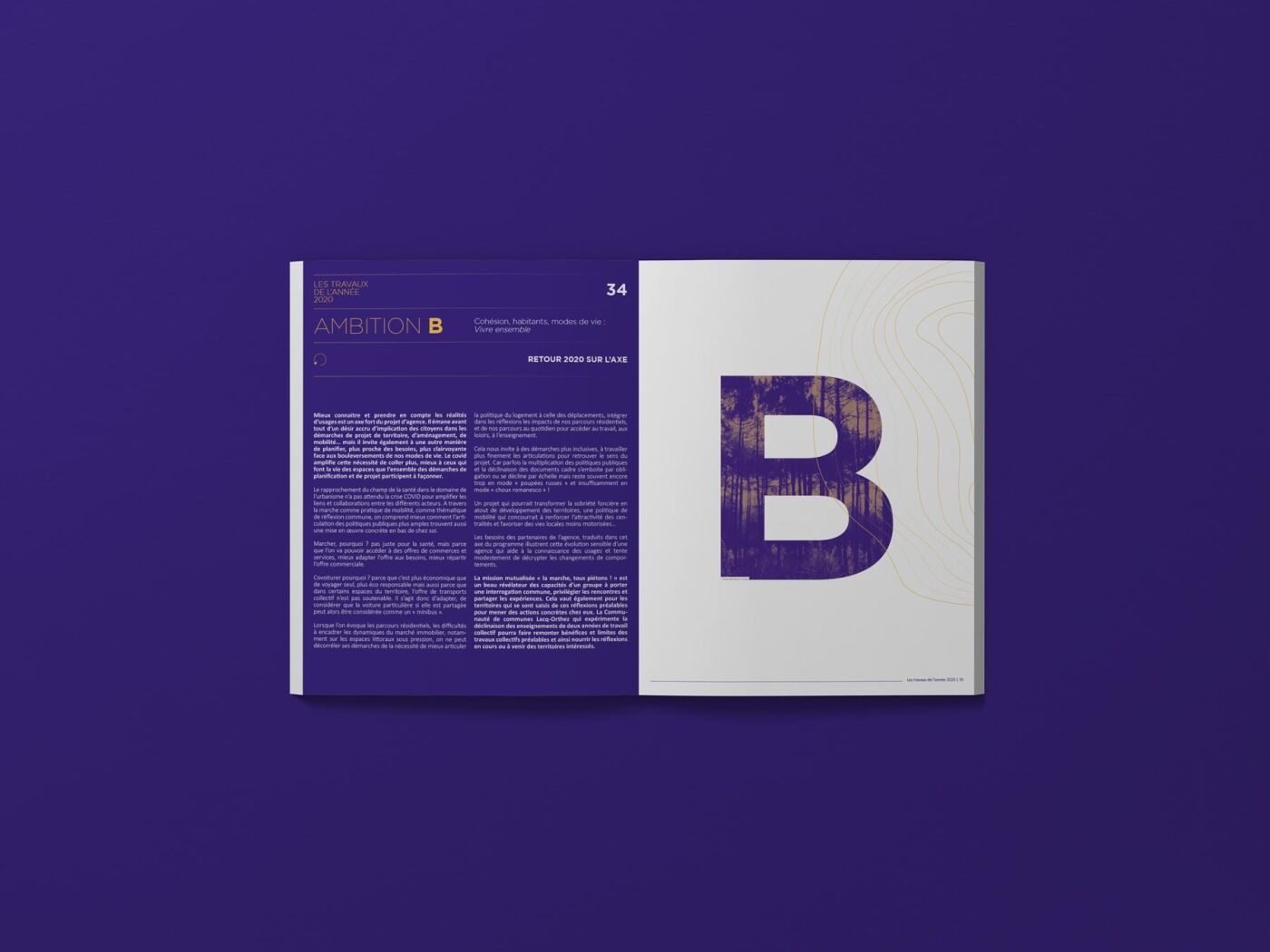project-img