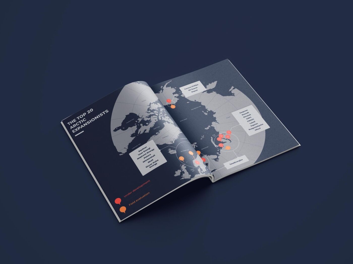 project-img