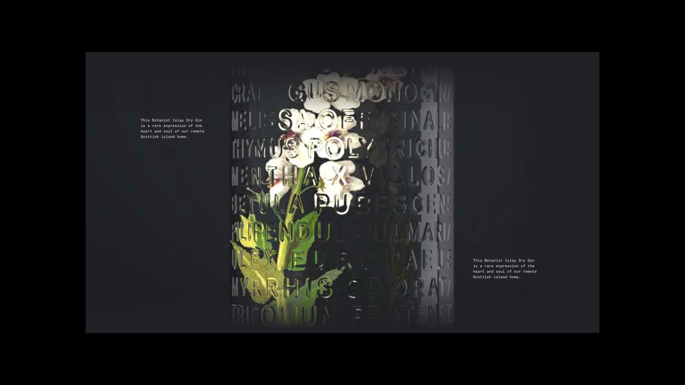 project-img