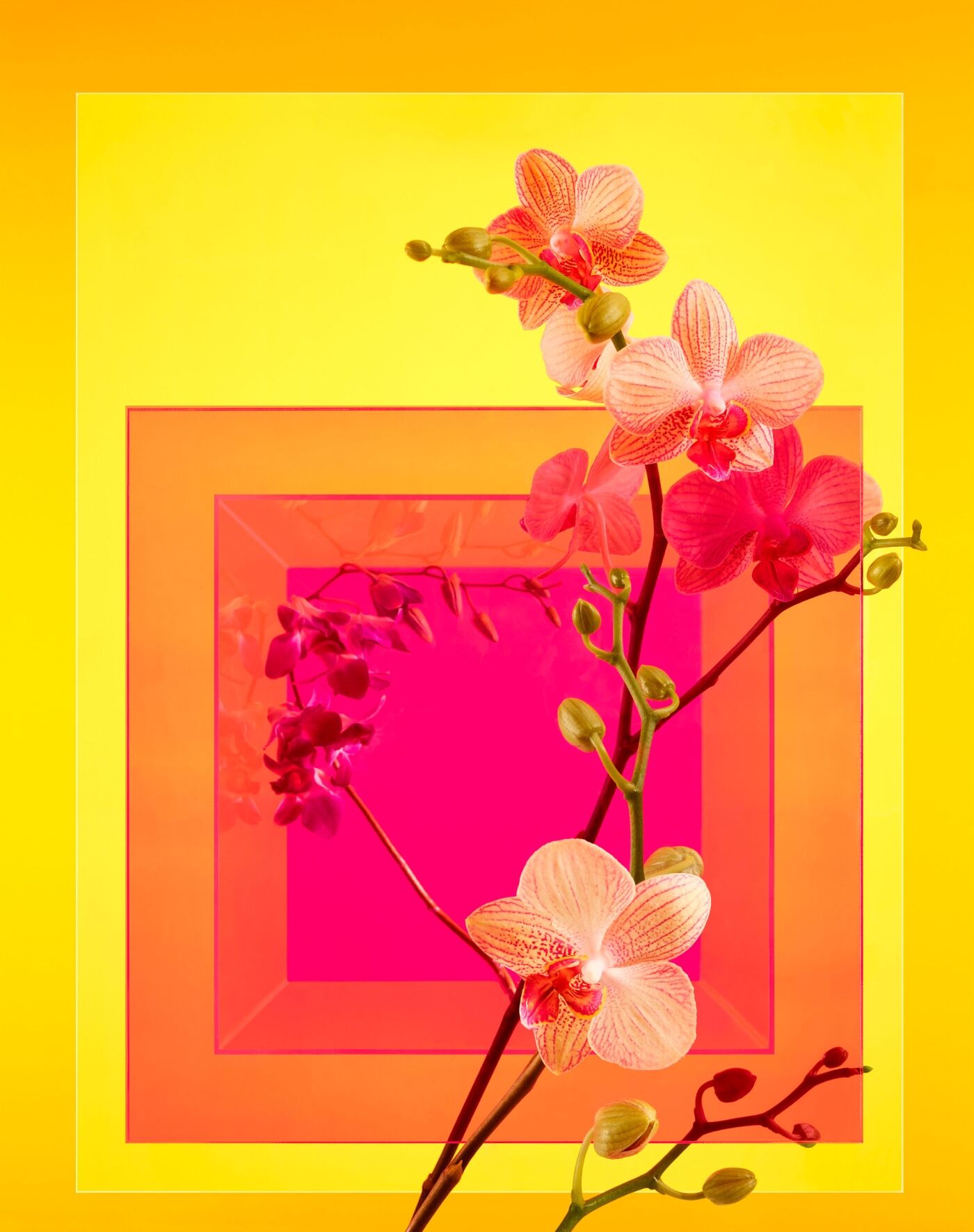 project-img