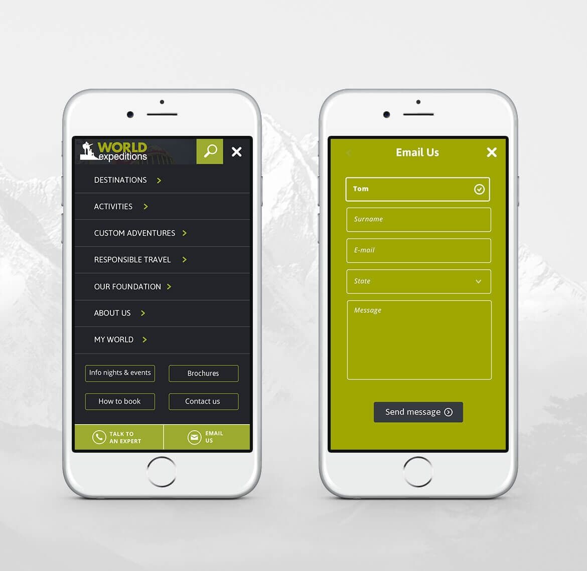 project-img