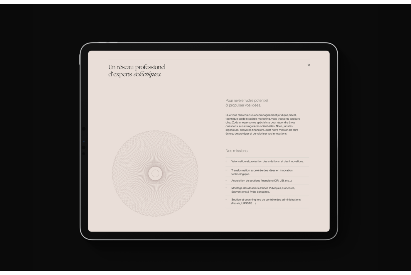 project-img