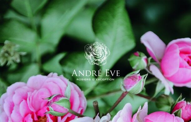 André Eve